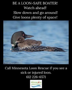 Be a loon-safe boater